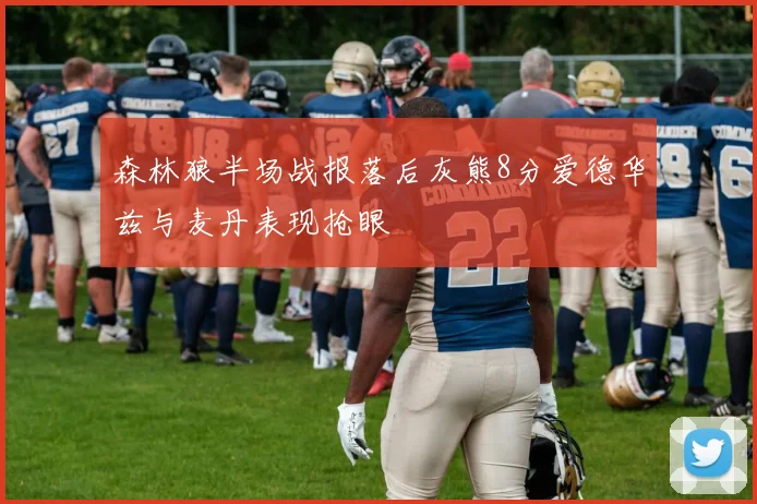 森林狼半场战报落后灰熊8分爱德华兹与麦丹表现抢眼